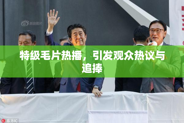 特级毛片热播，引发观众热议与追捧