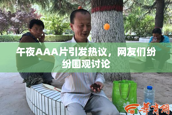 午夜AAA片引发热议，网友们纷纷围观讨论