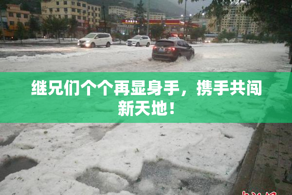 继兄们个个再显身手，携手共闯新天地！