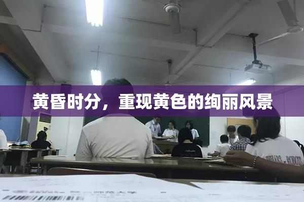 黄昏时分，重现黄色的绚丽风景