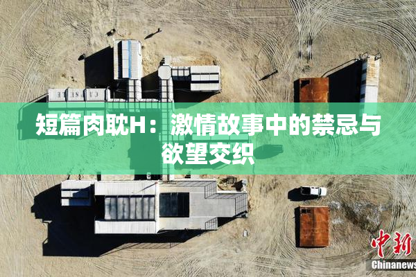 短篇肉耽H：激情故事中的禁忌与欲望交织