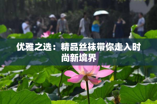 优雅之选：精品丝袜带你走入时尚新境界