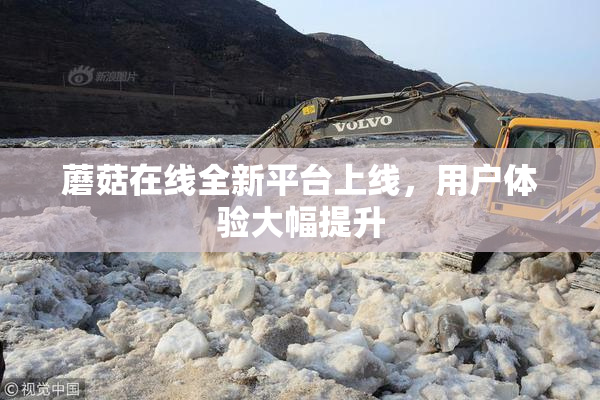 蘑菇在线全新平台上线，用户体验大幅提升