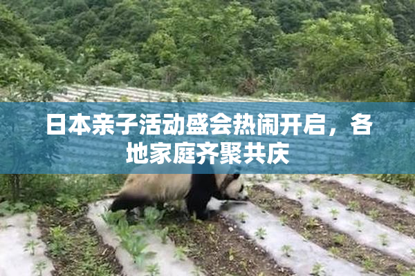 日本亲子活动盛会热闹开启，各地家庭齐聚共庆