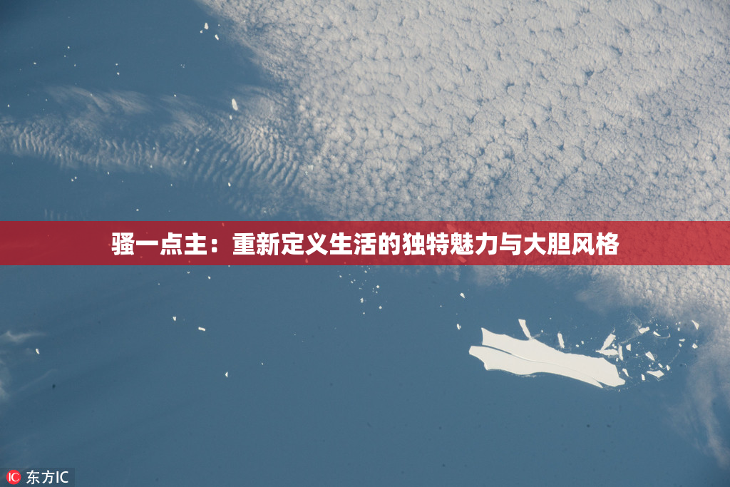 骚一点主：重新定义生活的独特魅力与大胆风格