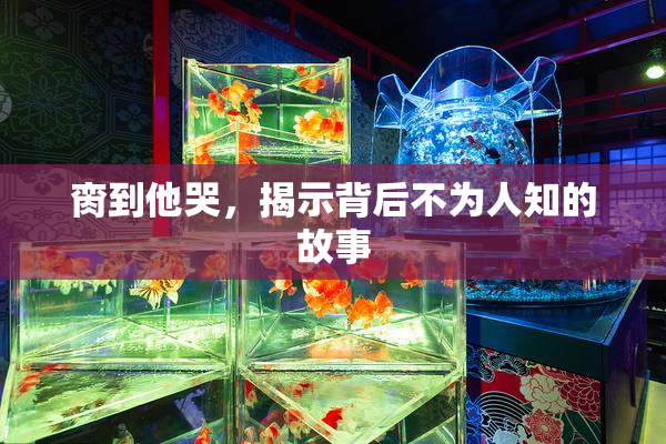脔到他哭，揭示背后不为人知的故事