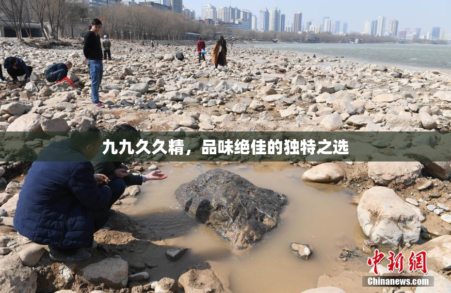 九九久久精，品味绝佳的独特之选