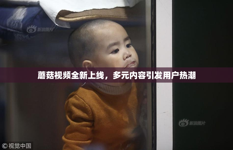 蘑菇视频全新上线，多元内容引发用户热潮