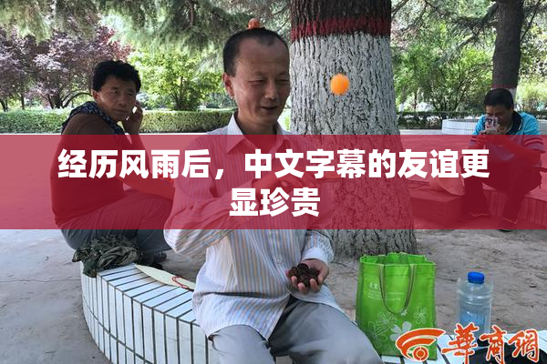 经历风雨后，中文字幕的友谊更显珍贵
