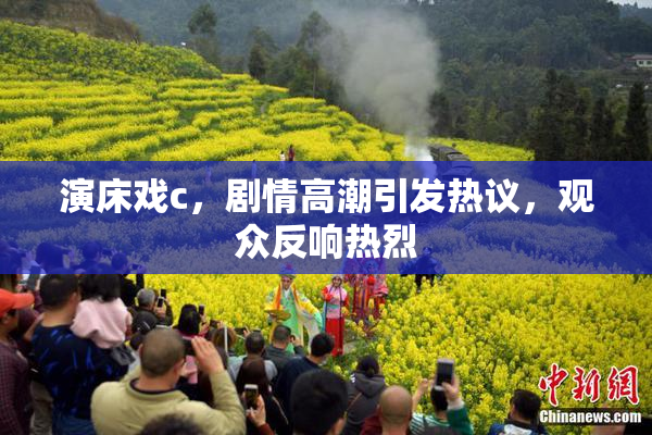 演床戏c，剧情高潮引发热议，观众反响热烈