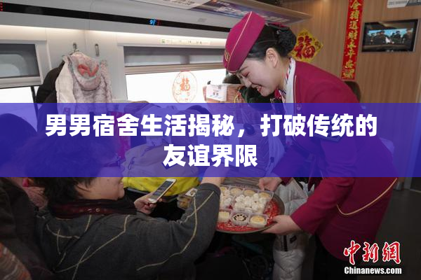 男男宿舍生活揭秘，打破传统的友谊界限