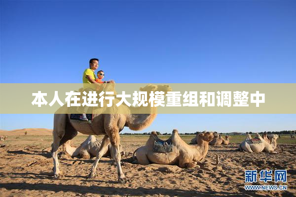 本人在进行大规模重组和调整中