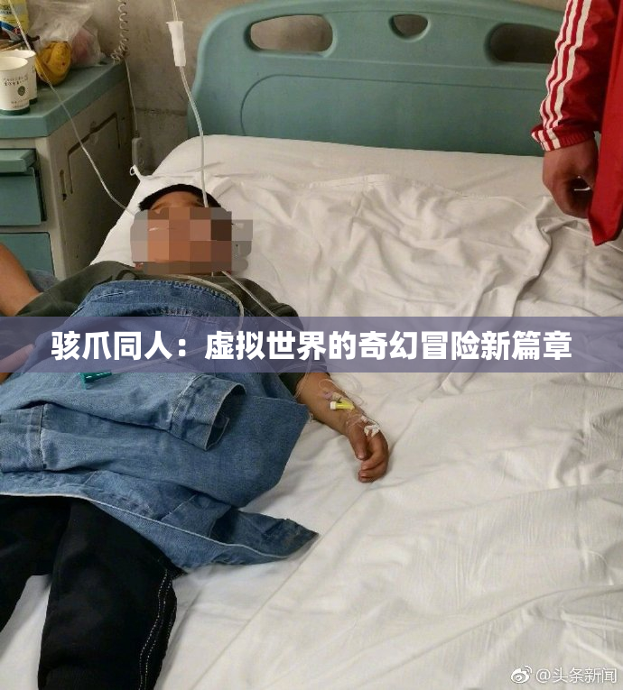 骇爪同人：虚拟世界的奇幻冒险新篇章