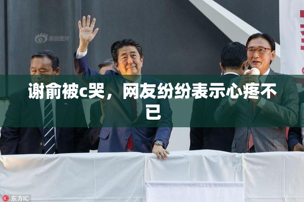 谢俞被c哭，网友纷纷表示心疼不已