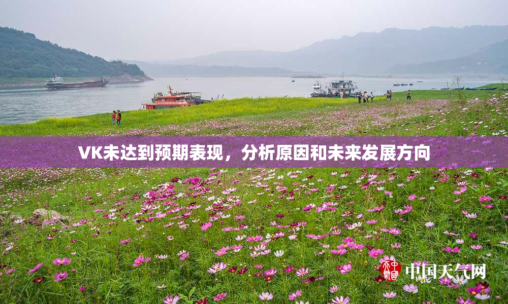 VK未达到预期表现，分析原因和未来发展方向