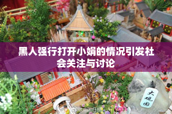 黑人强行打开小娟的情况引发社会关注与讨论