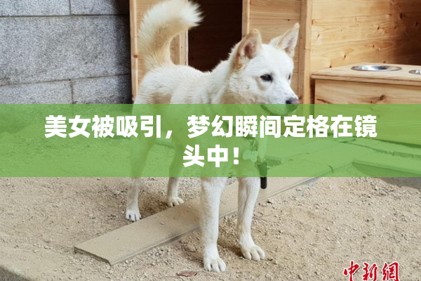 美女被吸引，梦幻瞬间定格在镜头中！