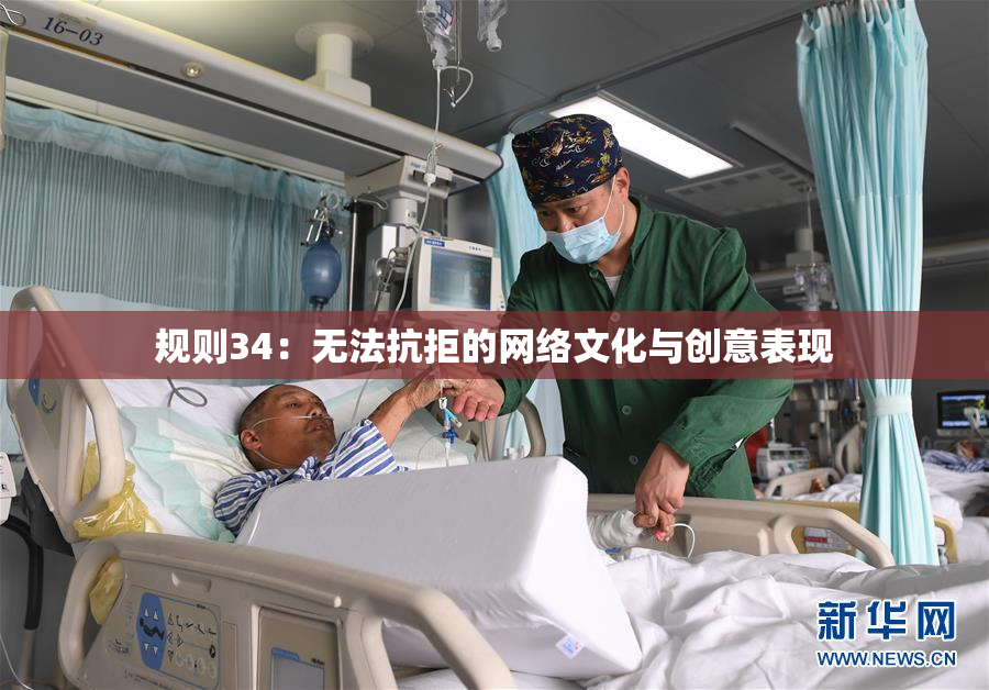 规则34：无法抗拒的网络文化与创意表现