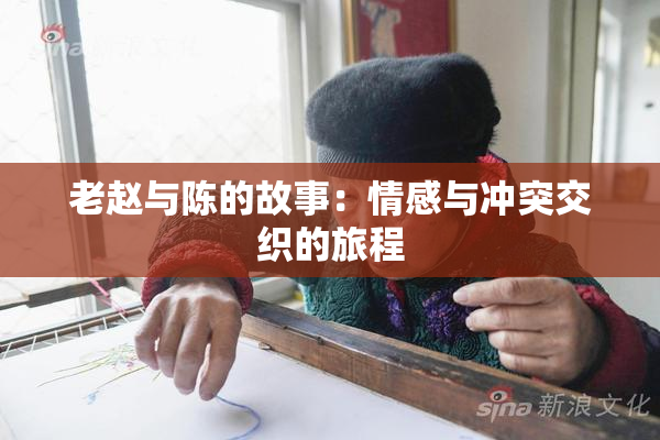老赵与陈的故事：情感与冲突交织的旅程