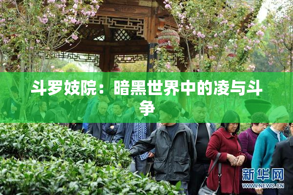 斗罗妓院：暗黑世界中的凌与斗争