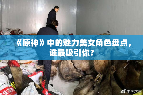 《原神》中的魅力美女角色盘点，谁最吸引你？