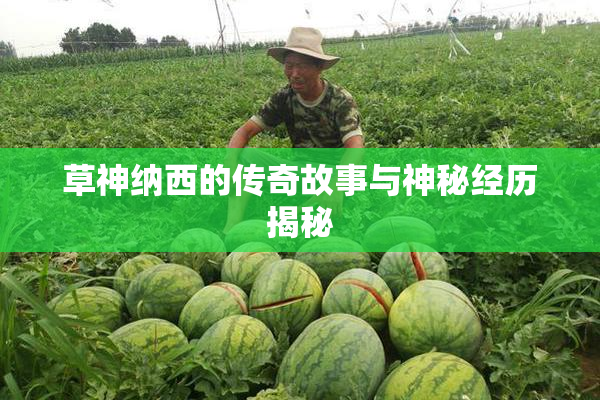 草神纳西的传奇故事与神秘经历揭秘