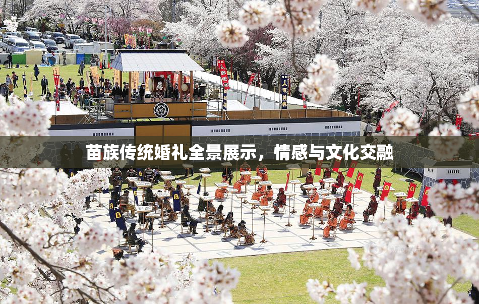 苗族传统婚礼全景展示，情感与文化交融