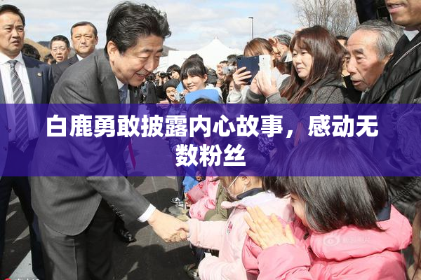 白鹿勇敢披露内心故事，感动无数粉丝