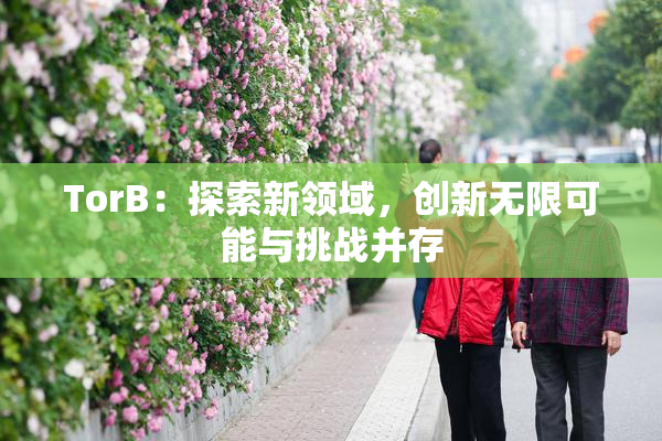 TorB：探索新领域，创新无限可能与挑战并存