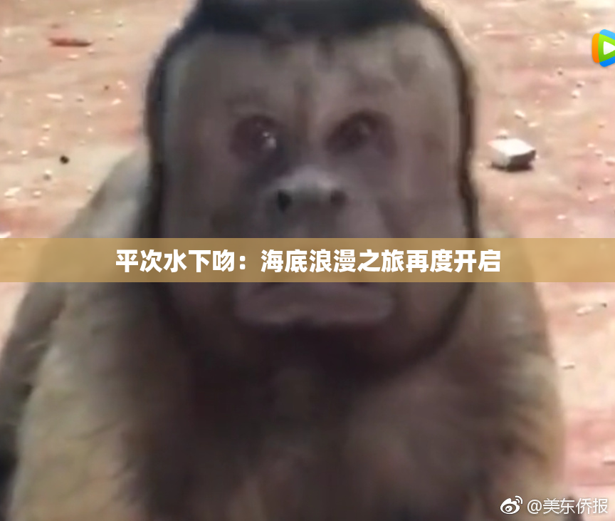 平次水下吻：海底浪漫之旅再度开启