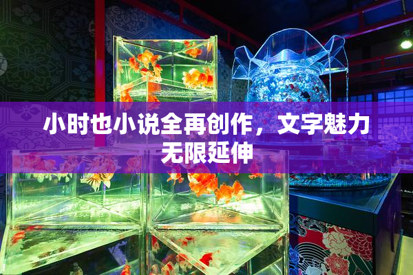 小时也小说全再创作，文字魅力无限延伸