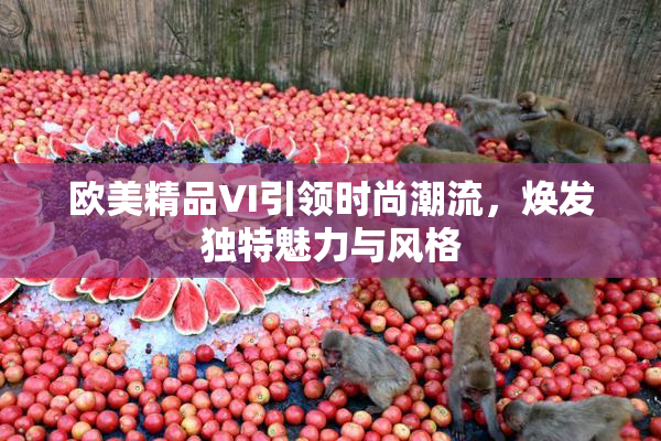 欧美精品VI引领时尚潮流，焕发独特魅力与风格