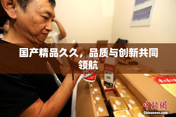 国产精品久久，品质与创新共同领航