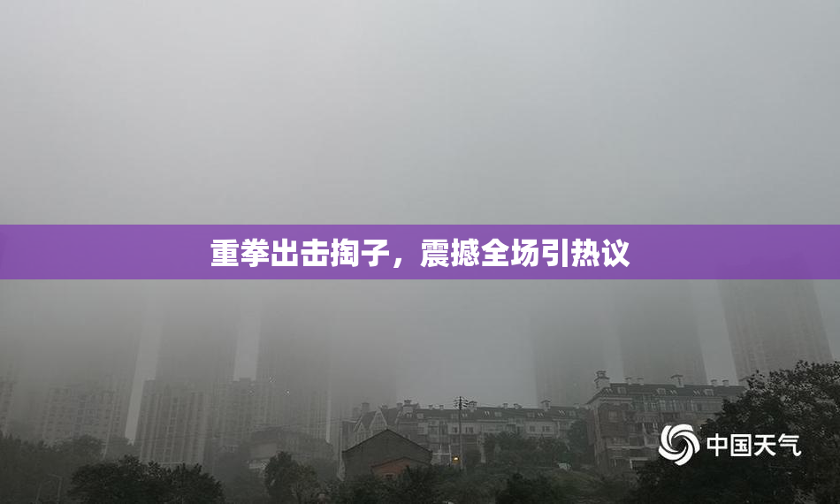 重拳出击掏子，震撼全场引热议