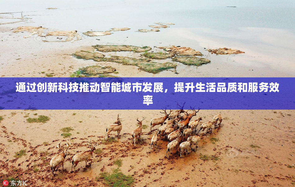 通过创新科技推动智能城市发展，提升生活品质和服务效率