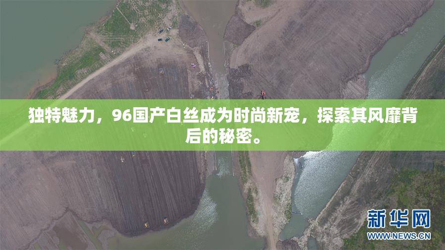 独特魅力，96国产白丝成为时尚新宠，探索其风靡背后的秘密。