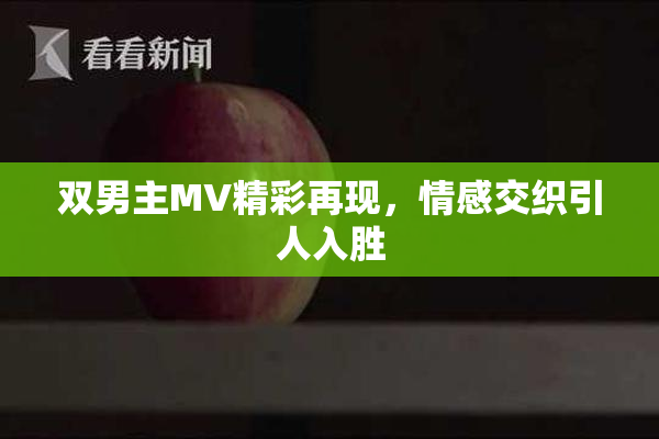 双男主MV精彩再现，情感交织引人入胜