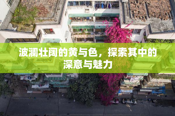 波澜壮阔的黄与色，探索其中的深意与魅力