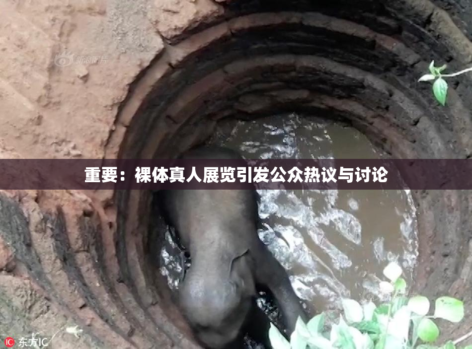 重要：裸体真人展览引发公众热议与讨论