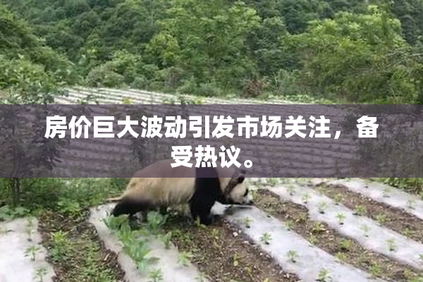 房价巨大波动引发市场关注，备受热议。