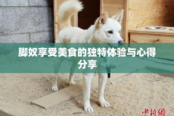 脚奴享受美食的独特体验与心得分享