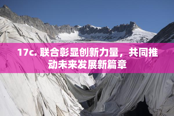17c. 联合彰显创新力量，共同推动未来发展新篇章