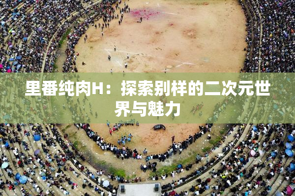 里番纯肉H：探索别样的二次元世界与魅力