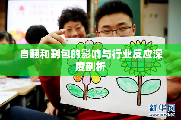 自翻和割包的影响与行业反应深度剖析