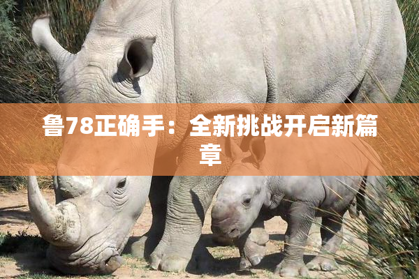 鲁78正确手：全新挑战开启新篇章