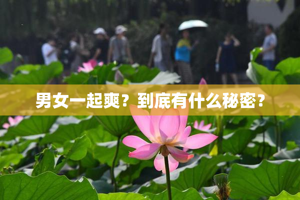 男女一起爽？到底有什么秘密？
