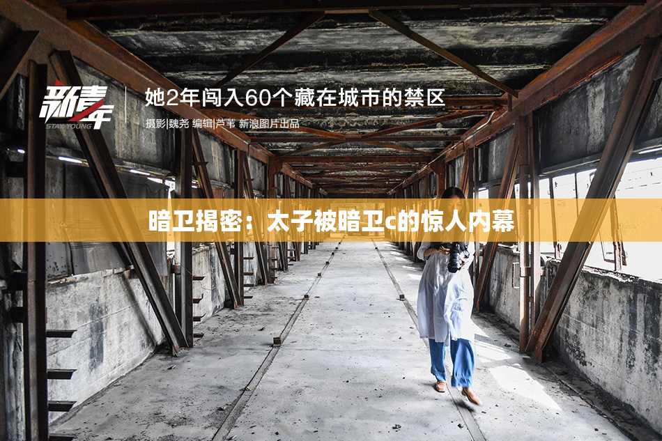暗卫揭密：太子被暗卫c的惊人内幕
