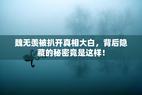 魏无羡被扒开真相大白，背后隐藏的秘密竟是这样！