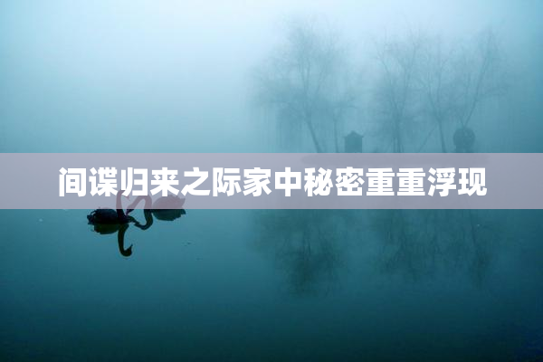 间谍归来之际家中秘密重重浮现