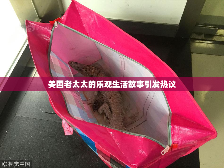 美国老太太的乐观生活故事引发热议